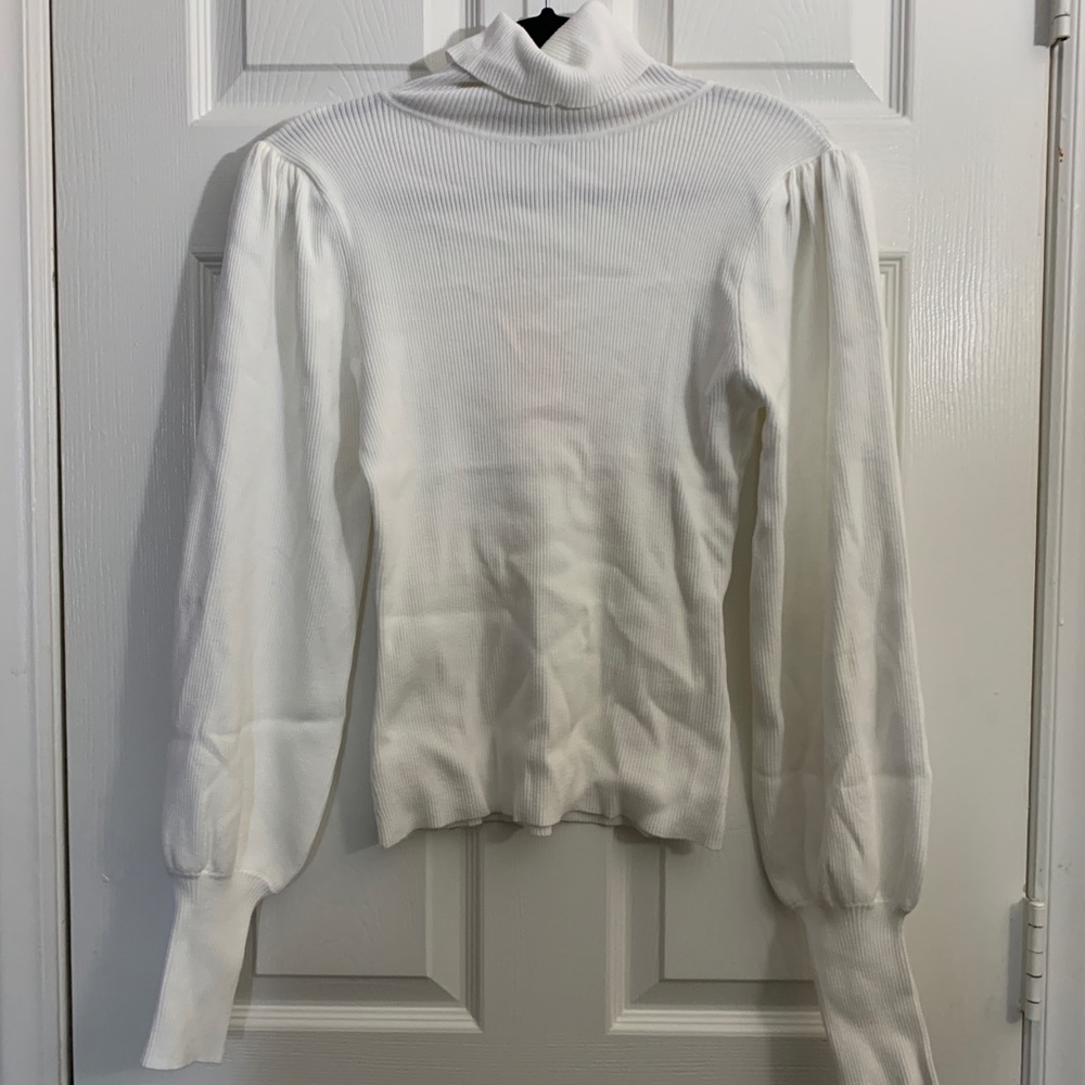 Fashion Nova Turtleneck Sweater